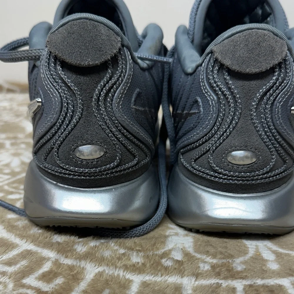 Nike LeBron 21 Cool Grey